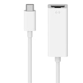 USB-C to Gigabit Ethernet Adapter